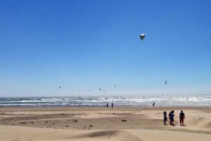 Beach Kites